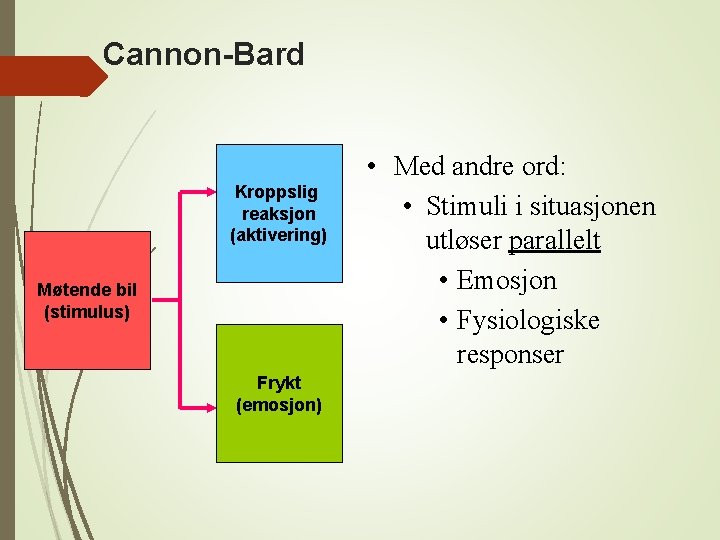 Cannon-Bard Kroppslig reaksjon (aktivering) Møtende bil (stimulus) Frykt (emosjon) • Med andre ord: •