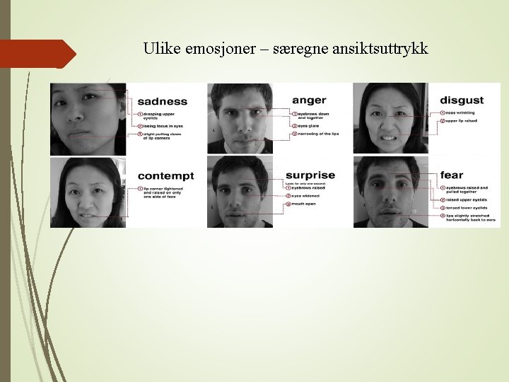 Ulike emosjoner – særegne ansiktsuttrykk 