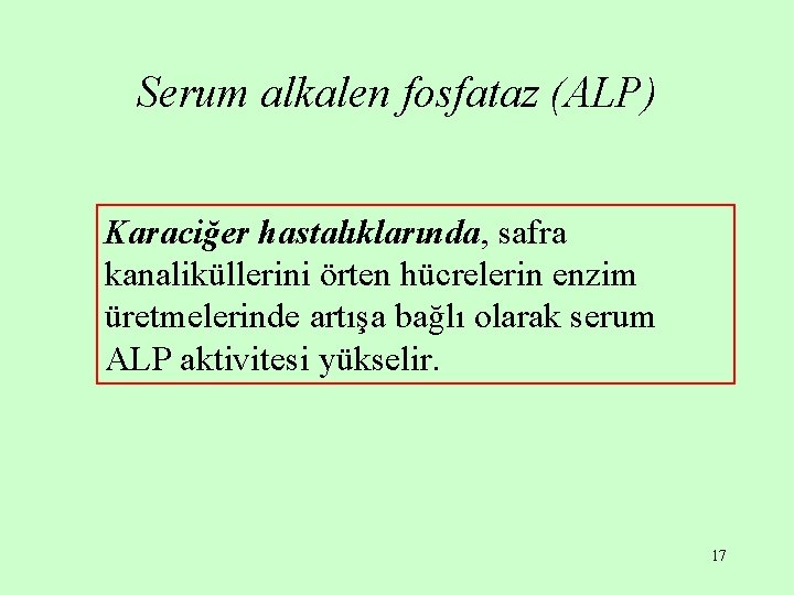 Serum alkalen fosfataz (ALP) Karaciğer hastalıklarında, safra kanaliküllerini örten hücrelerin enzim üretmelerinde artışa bağlı Serum alkalen fosfataz (ALP) Karaciğer hastalıklarında, safra kanaliküllerini örten hücrelerin enzim üretmelerinde artışa bağlı