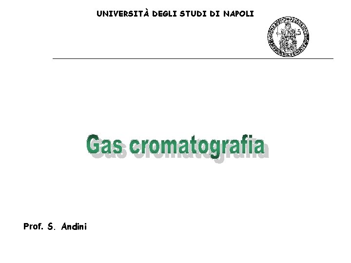 UNIVERSITÀ DEGLI STUDI DI NAPOLI Prof. S. Andini UNIVERSITÀ DEGLI STUDI DI NAPOLI Prof. S. Andini