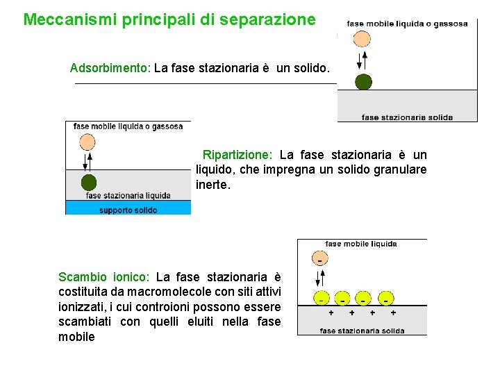 Meccanismi principali di separazione Adsorbimento: La fase stazionaria è un solido. Ripartizione: La fase Meccanismi principali di separazione Adsorbimento: La fase stazionaria è un solido. Ripartizione: La fase