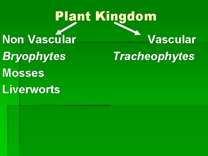 Plant Kingdom Non Vascular Bryophytes Mosses Liverworts Vascular Tracheophytes 