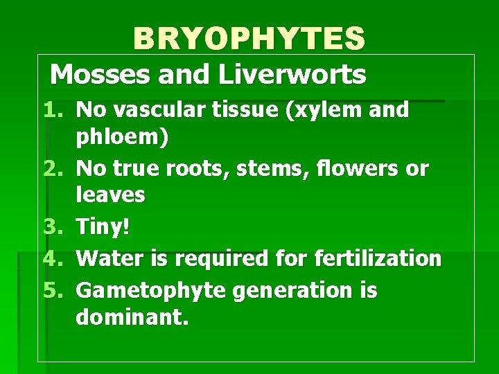 BRYOPHYTES Mosses and Liverworts 1. No vascular tissue (xylem and phloem) 2. No true