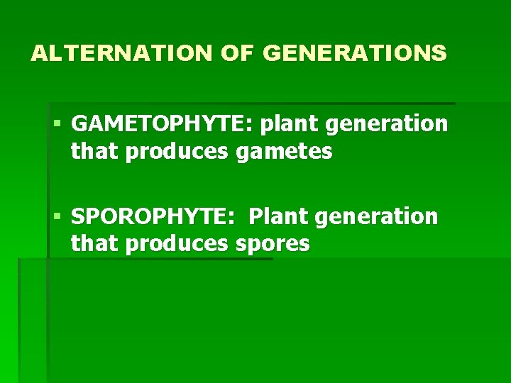 ALTERNATION OF GENERATIONS § GAMETOPHYTE: plant generation that produces gametes § SPOROPHYTE: Plant generation