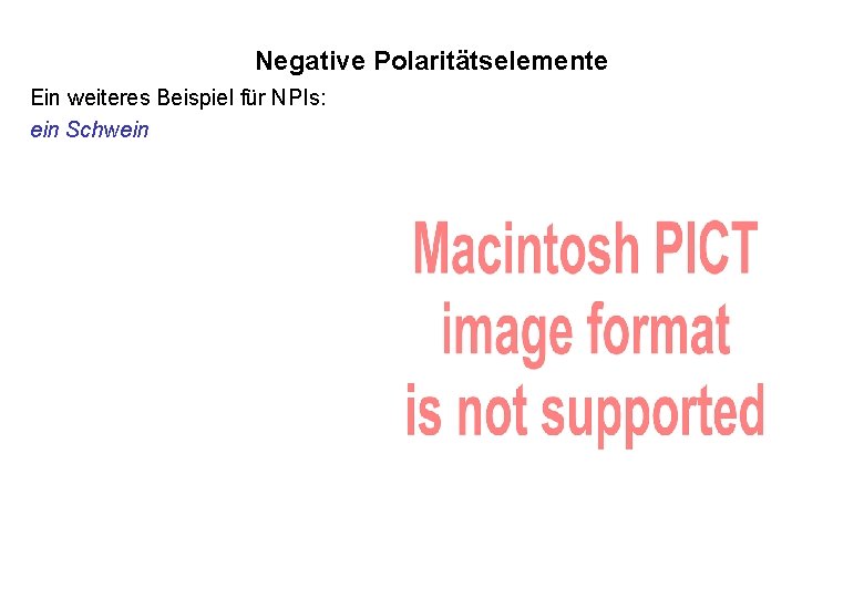 Negative Polaritätselemente Ein weiteres Beispiel für NPIs: ein Schwein 