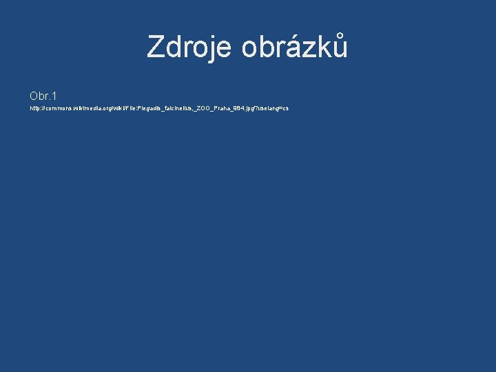 Zdroje obrázků Obr. 1 http: //commons. wikimedia. org/wiki/File: Plegadis_falcinellus, _ZOO_Praha_984. jpg? uselang=cs 