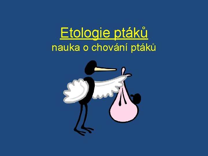 Etologie ptáků nauka o chování ptáků 