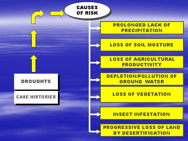 CAUSES OF RISK PROLONGED LACK OF PRECIPITATION LOSS OF SOIL MOSTURE LOSS OF AGRICULTURAL