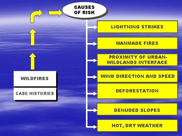 CAUSES OF RISK LIGHTNING STRIKES MANMADE FIRES PROXIMITY OF URBANWILDLANDS INTERFACE WILDFIRES CASE HISTORIES