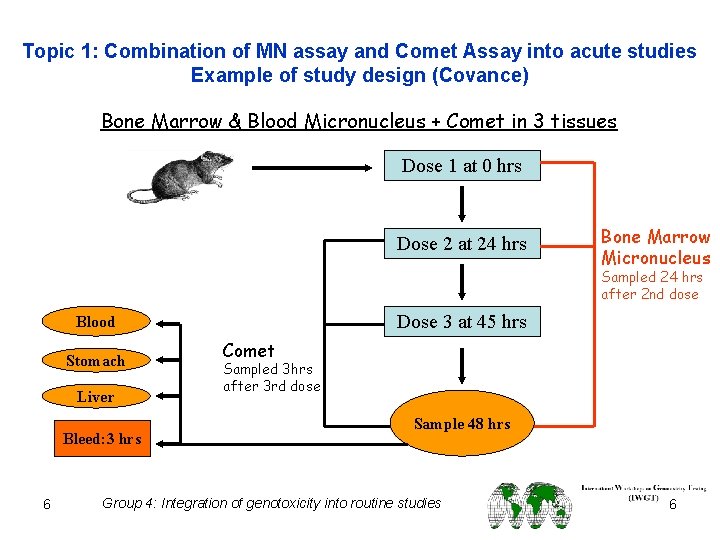 Topic 1: Combination of MN assay and Comet Assay into acute studies Example of