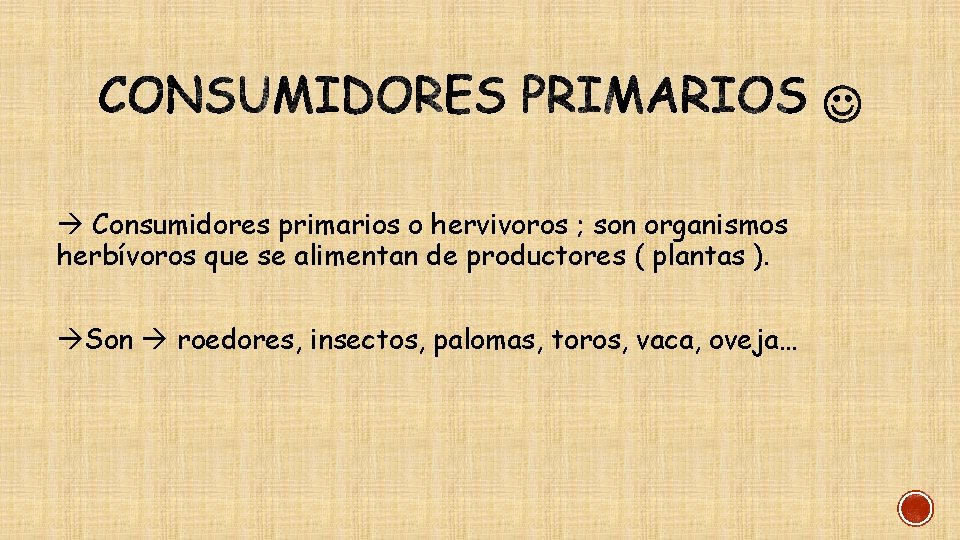  Consumidores primarios o hervivoros ; son organismos herbívoros que se alimentan de productores