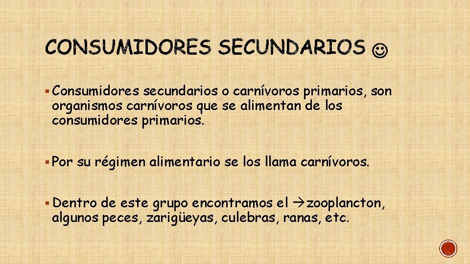 § Consumidores secundarios o carnívoros primarios, son organismos carnívoros que se alimentan de los