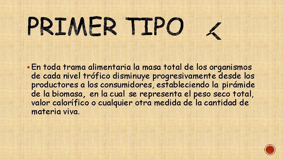 § En toda trama alimentaria la masa total de los organismos de cada nivel