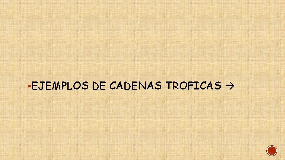 §EJEMPLOS DE CADENAS TROFICAS 