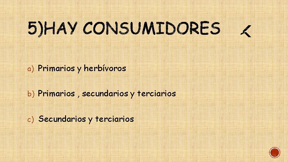 a) Primarios y herbívoros b) Primarios , secundarios y terciarios c) Secundarios y terciarios