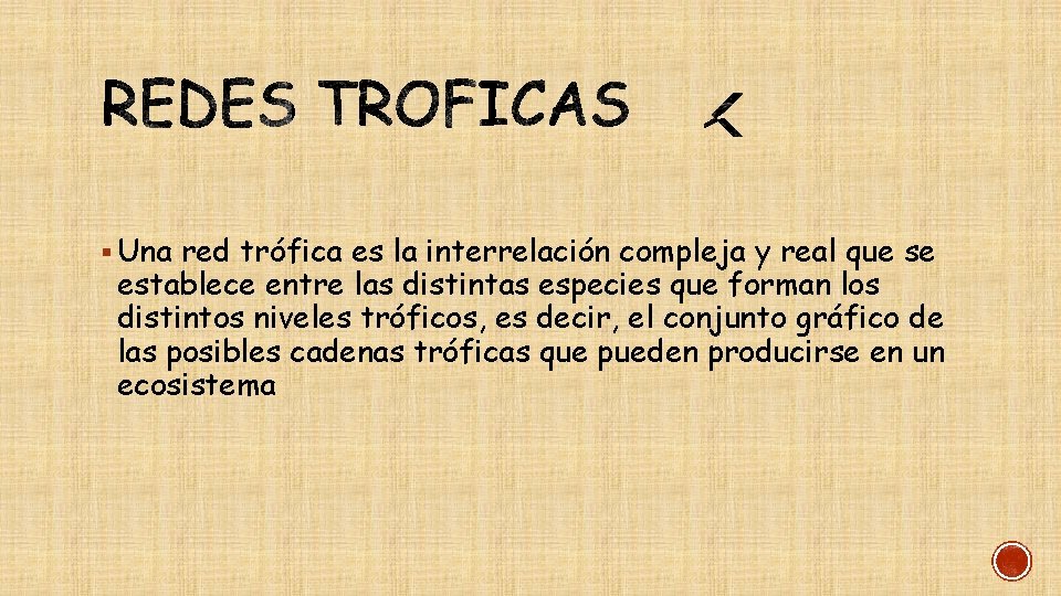 § Una red trófica es la interrelación compleja y real que se establece entre