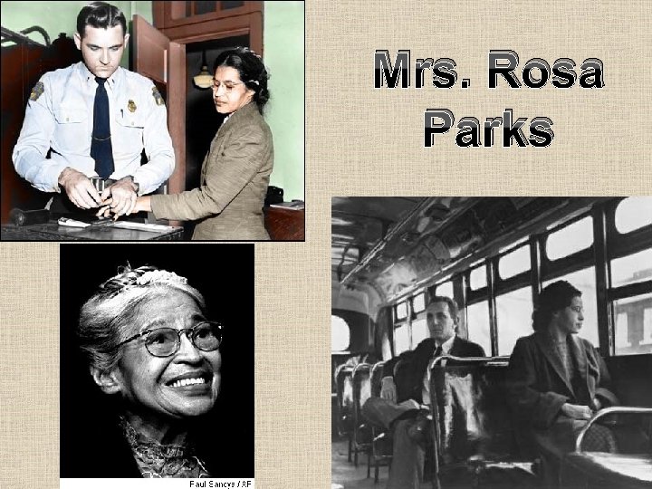 Mrs. Rosa Parks 