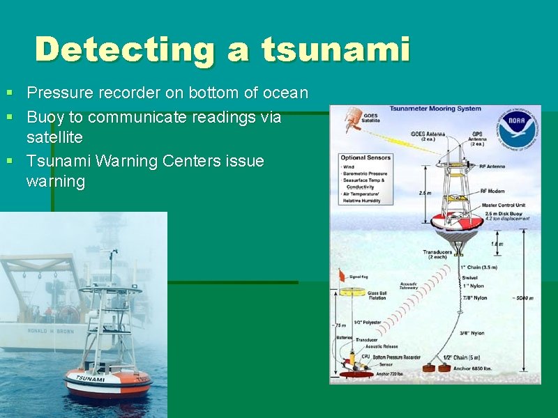 Detecting a tsunami § Pressure recorder on bottom of ocean § Buoy to communicate Detecting a tsunami § Pressure recorder on bottom of ocean § Buoy to communicate
