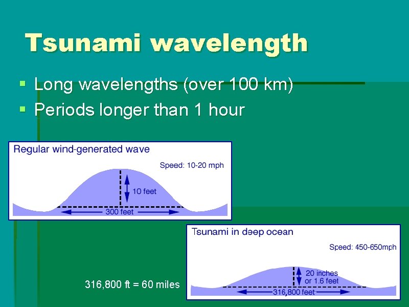 Tsunami wavelength § Long wavelengths (over 100 km) § Periods longer than 1 hour Tsunami wavelength § Long wavelengths (over 100 km) § Periods longer than 1 hour