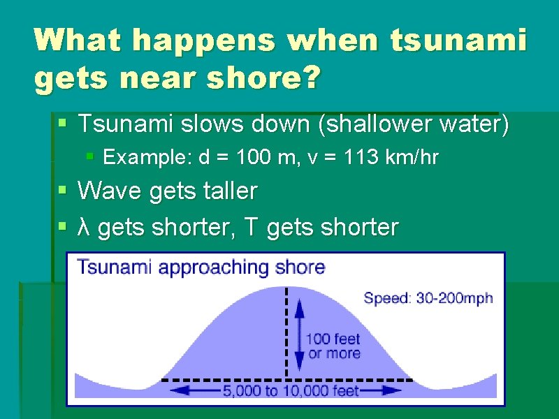 What happens when tsunami gets near shore? § Tsunami slows down (shallower water) § What happens when tsunami gets near shore? § Tsunami slows down (shallower water) §