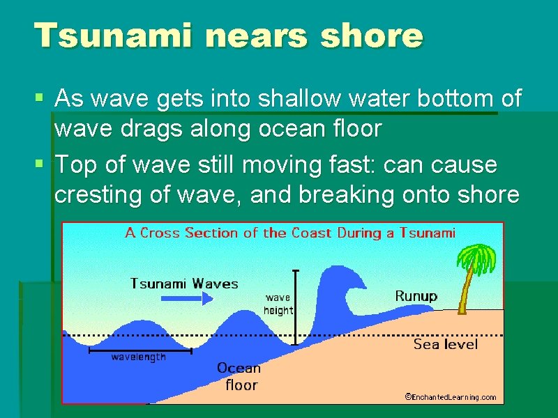 Tsunami nears shore § As wave gets into shallow water bottom of wave drags Tsunami nears shore § As wave gets into shallow water bottom of wave drags