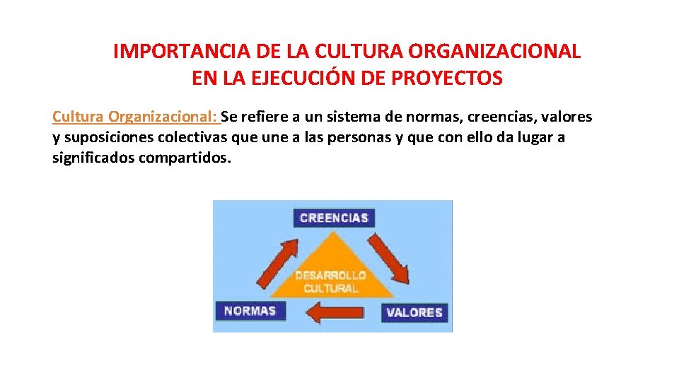 IMPORTANCIA DE LA CULTURA ORGANIZACIONAL EN LA EJECUCIÓN DE PROYECTOS Cultura Organizacional: Se refiere