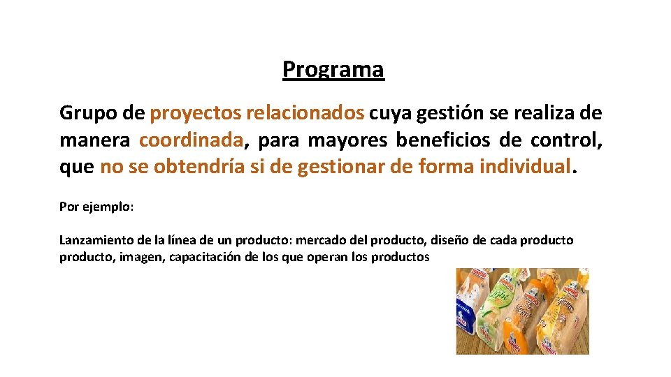 Programa Grupo de proyectos relacionados cuya gestión se realiza de manera coordinada, para mayores
