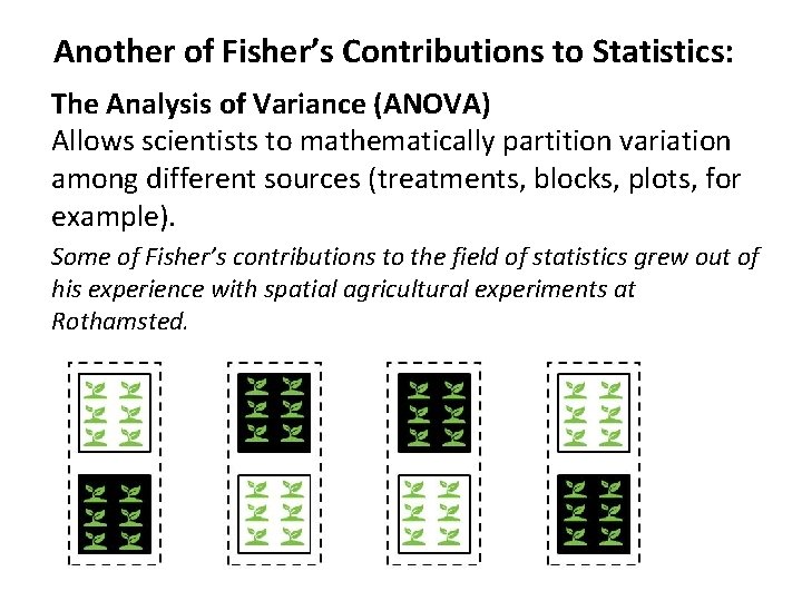 Another of Fisher’s Contributions to Statistics: The Analysis of Variance (ANOVA) Allows scientists to