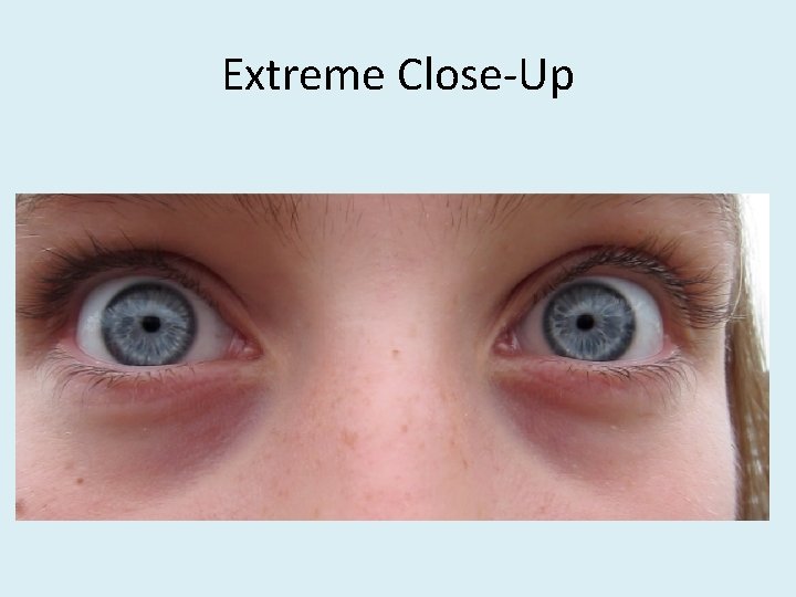 Extreme Close-Up 