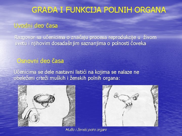 GRAĐA I FUNKCIJA POLNIH ORGANA Uvodni deo časa Razgovor sa učenicima o značaju procesa