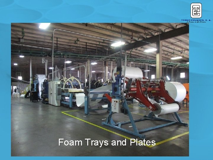 Foam Trays and Plates Foam Trays and Plates