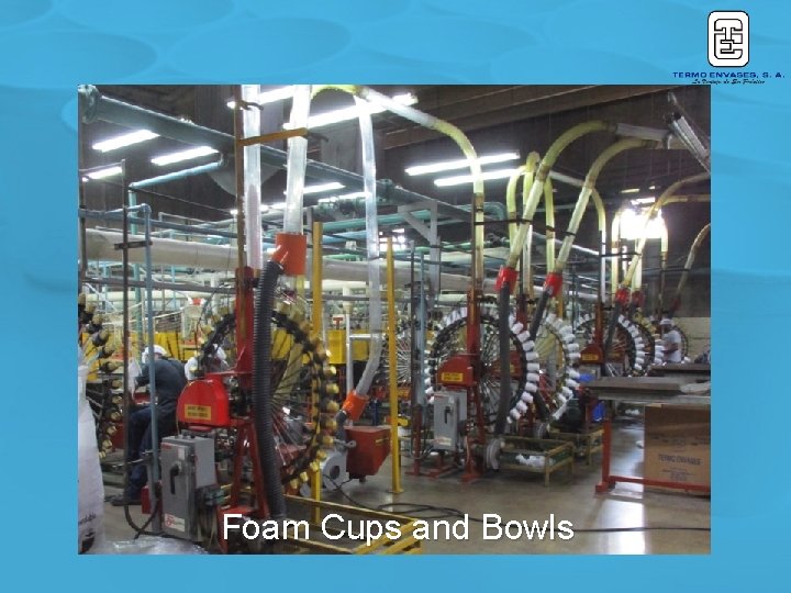 Foam Cups and Bowls Foam Cups and Bowls