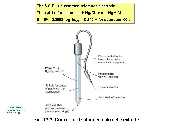 The S. C. E. is a common reference electrode. The cell half-reaction is: ½Hg The S. C. E. is a common reference electrode. The cell half-reaction is: ½Hg