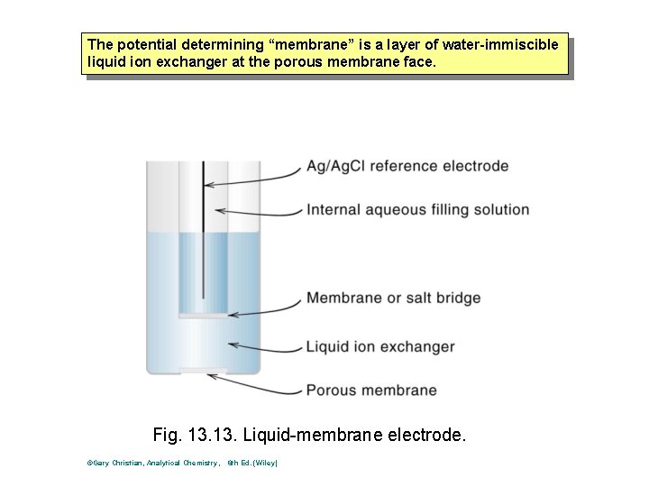 The potential determining “membrane” is a layer of water-immiscible liquid ion exchanger at the The potential determining “membrane” is a layer of water-immiscible liquid ion exchanger at the