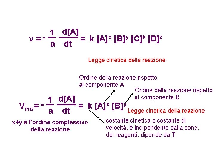 1 d[A] v == k [A]x [B]y [C]k [D]z a dt Legge cinetica della
