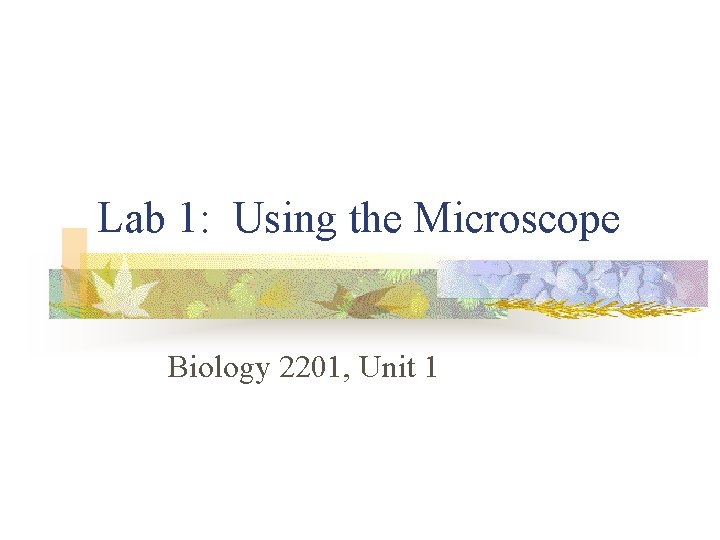 Lab 1: Using the Microscope Biology 2201, Unit 1 