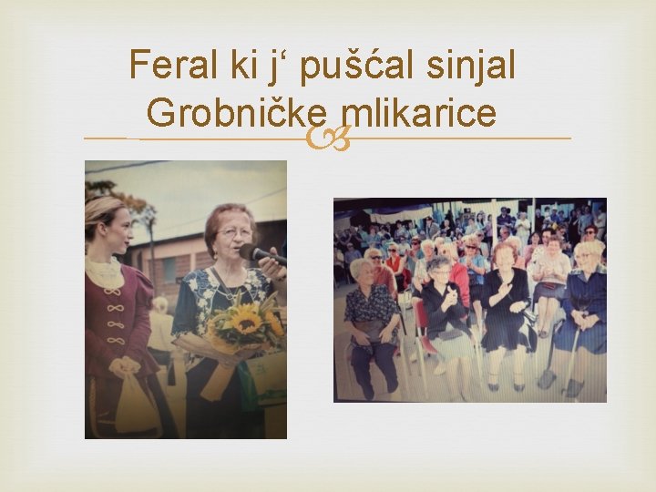 Feral ki j‘ pušćal sinjal Grobničke mlikarice 