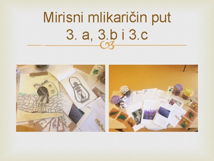 Mirisni mlikaričin put 3. a, 3. b i 3. c 