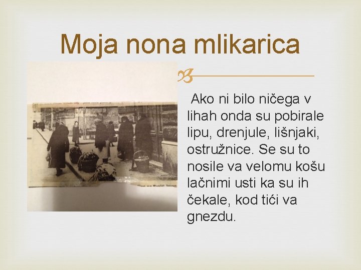 Moja nona mlikarica Ako ni bilo ničega v lihah onda su pobirale lipu, drenjule,