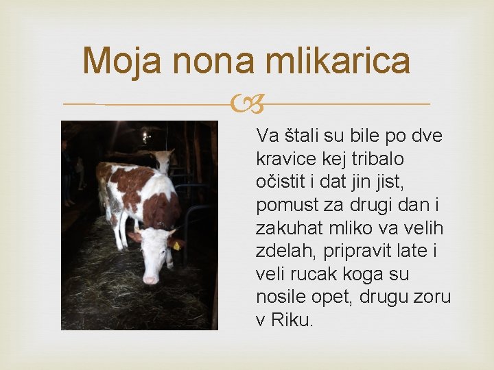 Moja nona mlikarica Va štali su bile po dve kravice kej tribalo očistit i