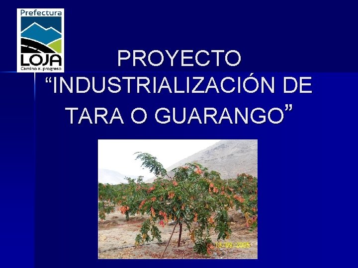 PROYECTO “INDUSTRIALIZACIÓN DE TARA O GUARANGO” 