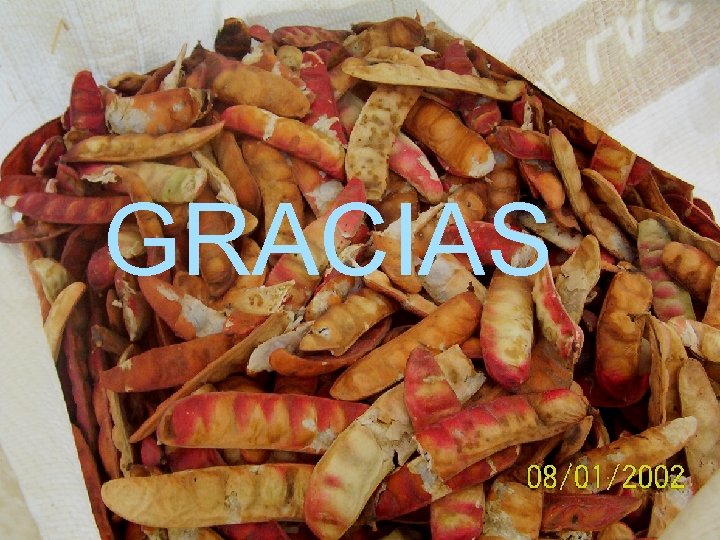 GRACIAS 