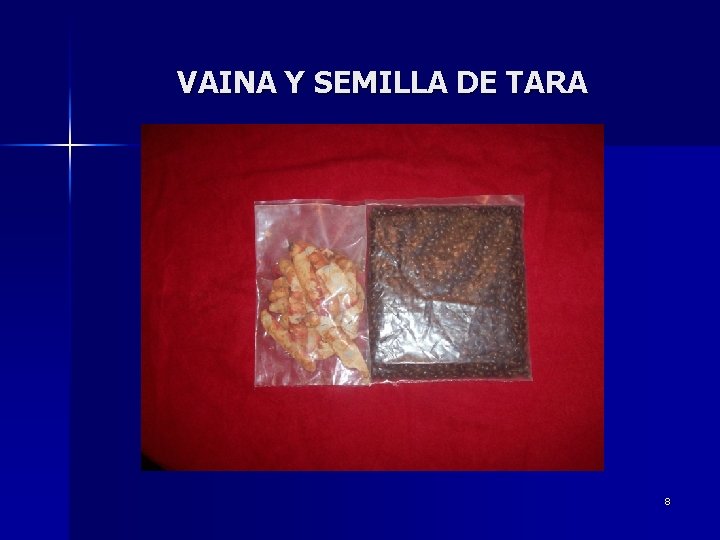 VAINA Y SEMILLA DE TARA 8 