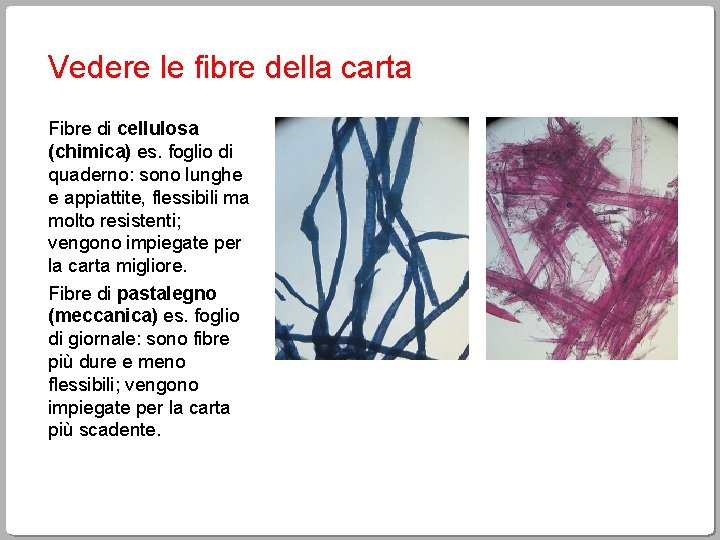 Vedere le fibre della carta Fibre di cellulosa (chimica) es. foglio di quaderno: sono