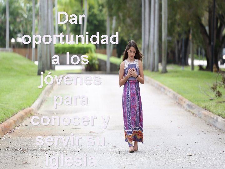 Dar oportunidad a los jóvenes para conocer y servir su Iglesia 