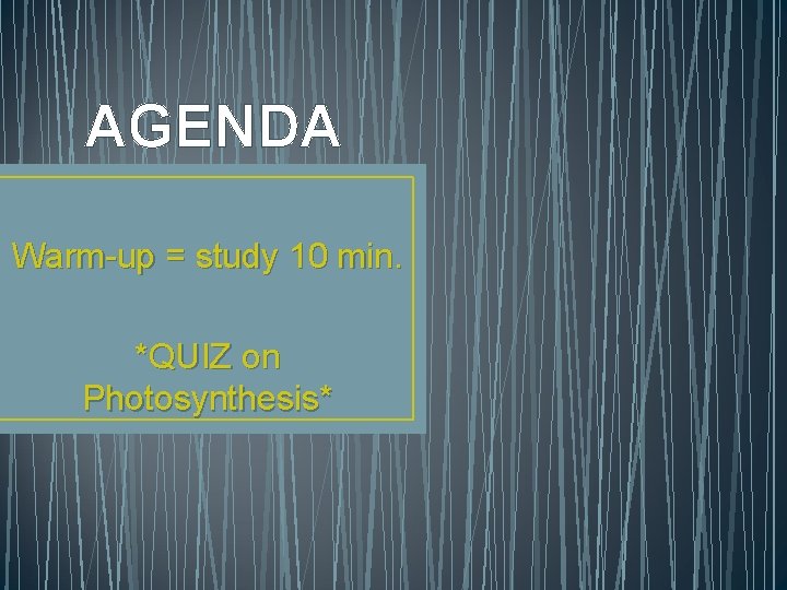 AGENDA Warm-up = study 10 min. *QUIZ on Photosynthesis* 