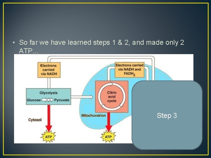  • So far we have learned steps 1 & 2, and made only