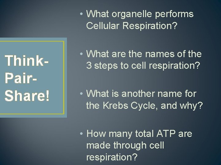  • What organelle performs Cellular Respiration? Think. Pair. Share! • What are the