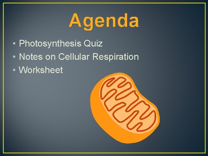 Agenda • Photosynthesis Quiz • Notes on Cellular Respiration • Worksheet 