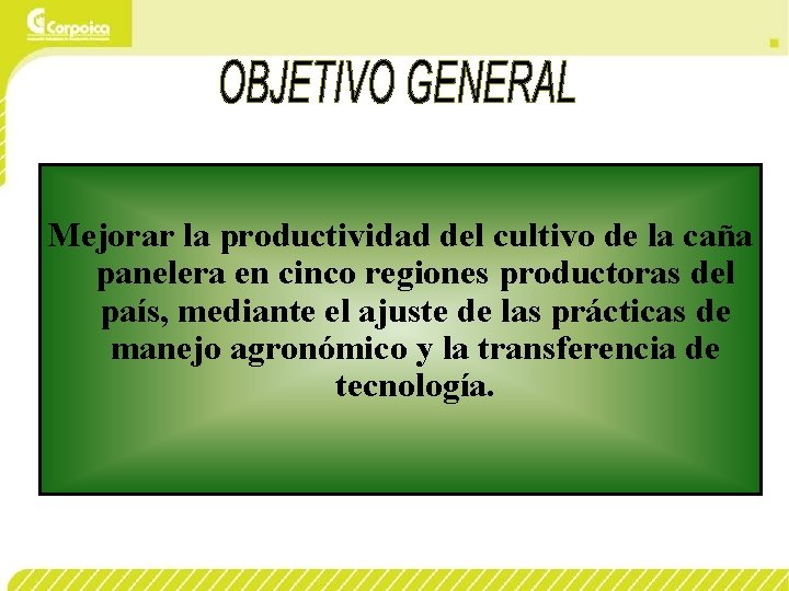 Mejorar la productividad del cultivo de la caña panelera en cinco regiones productoras del